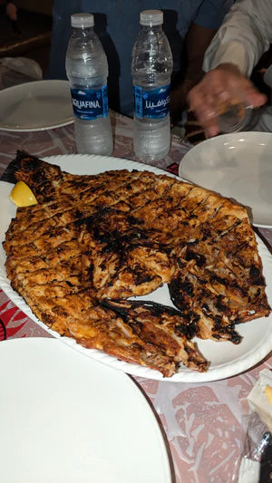 Danat Al Bahara - The number one fish in Qatar